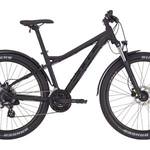 Sharptail Street 3 29