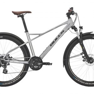 SHARPTAIL STREET 2 29