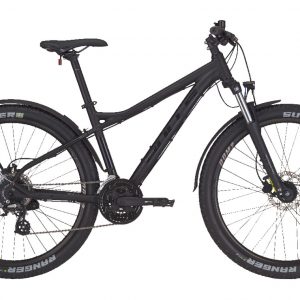 Sharptail Street 3 29